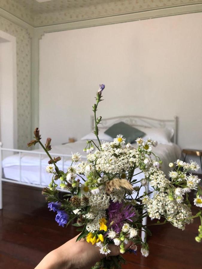 Texas House Guest House Novaci-Străini Екстериор снимка